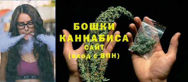 дживик Долгопрудный