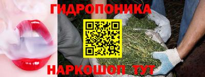 мет Бийск