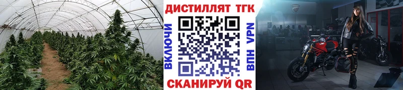 Дистиллят ТГК жижа darknet формула Истра