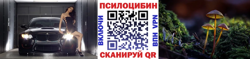 Псилоцибиновые грибы Psilocybe  купить  сайты  кракен сайт  Истра 