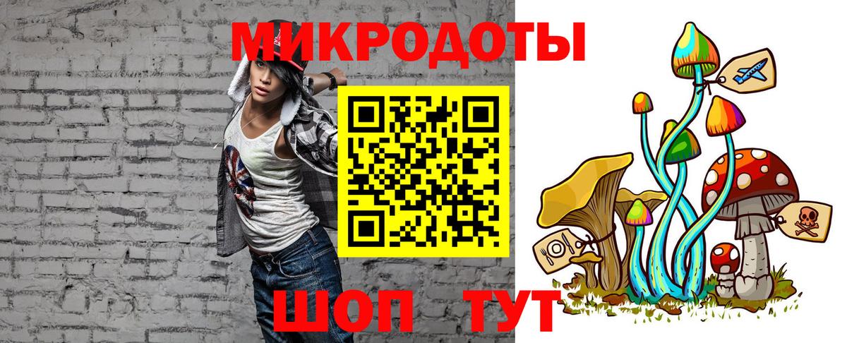 Псилоцибиновые грибы Psilocybine cubensis Истра
