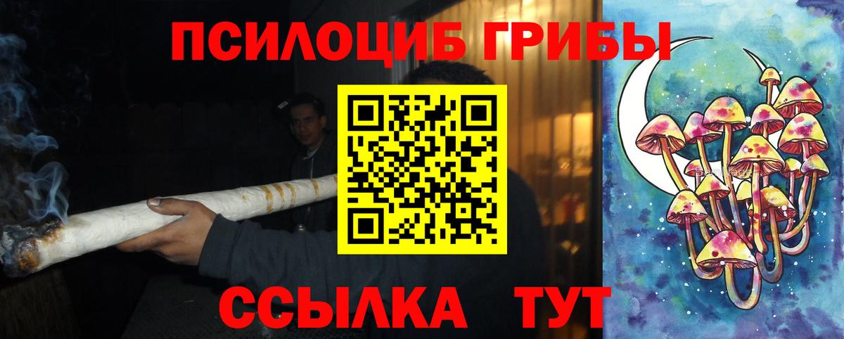 Псилоцибиновые грибы прущие грибы Истра