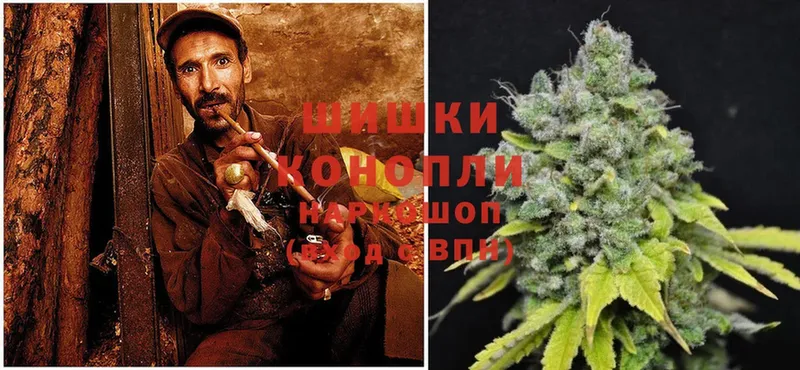 нарко площадка формула  Истра  Шишки марихуана OG Kush 